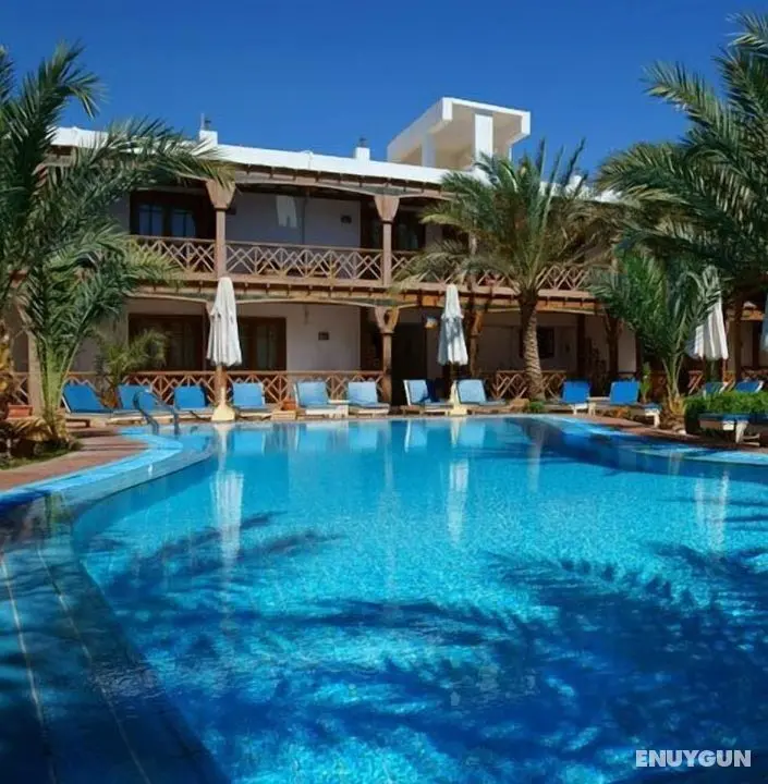 Acacia Dahab Hotel - Öne Çıkan Resim