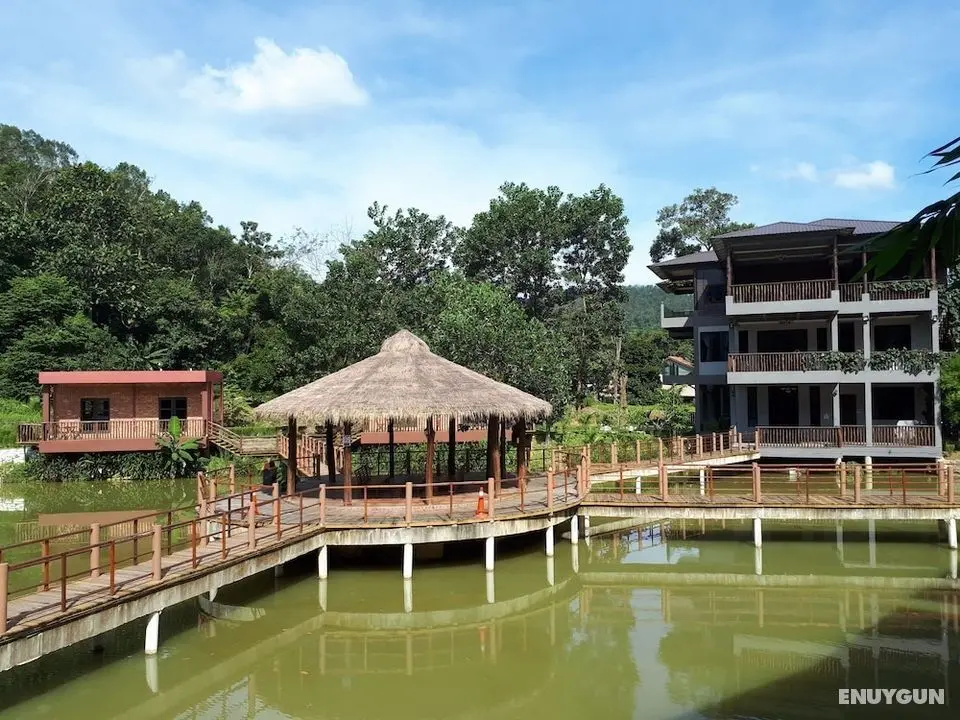 The Acacia Retreat - Öne Çıkan Resim