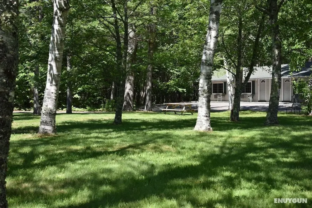 Acadia Pines Motel - Öne Çıkan Resim