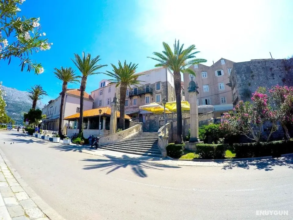 Accommodation Vitaic - Öne Çıkan Resim