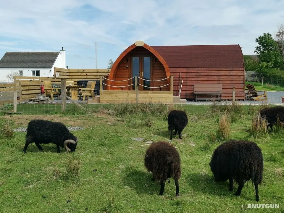 Achmeney Glamping Pod Larger Than Average Pod - Öne Çıkan Resim
