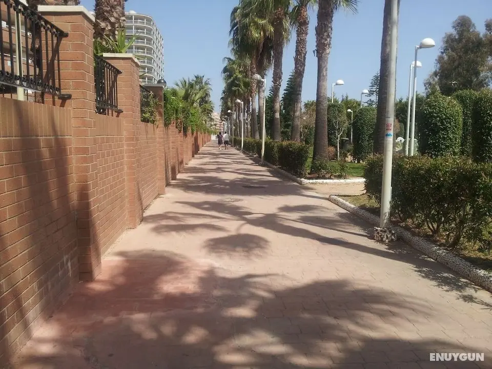 Acv - costa marina III-1ª línea planta 2 sur - Dış Mekan