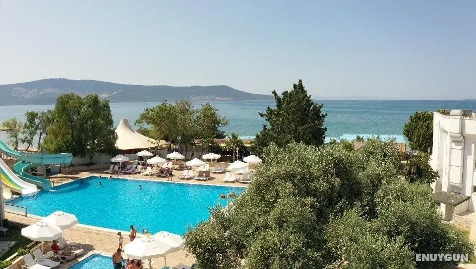 Ada World Hotel - Havuz