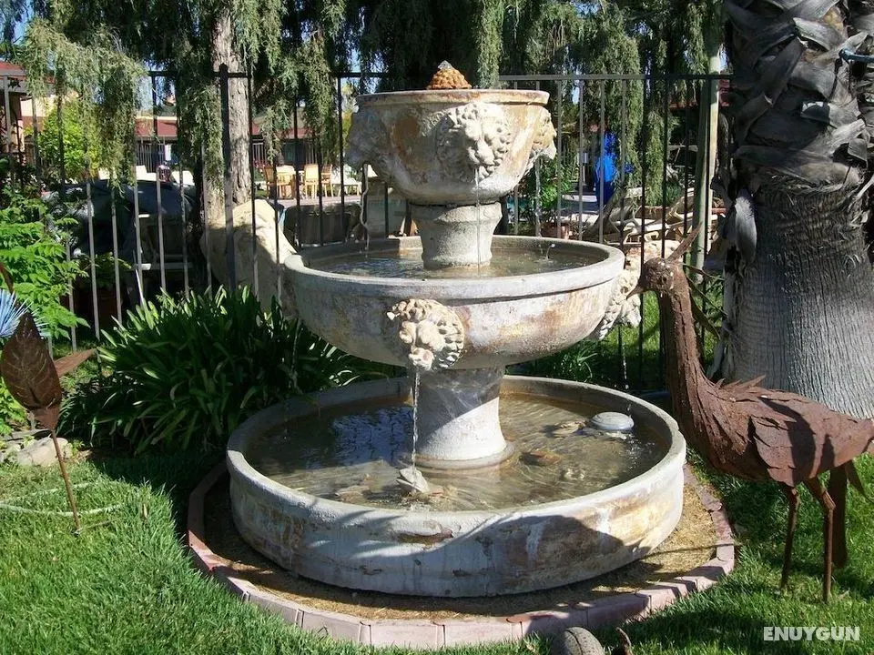 Adelaide Inn - Genel