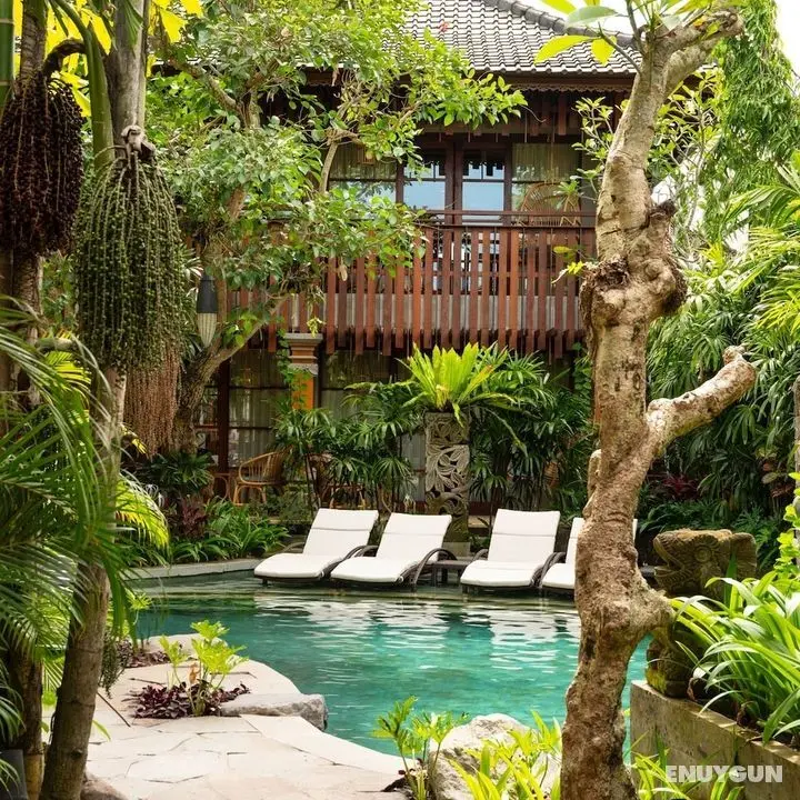 Adiwana Monkey Forest - CHSE Certified - Havuz