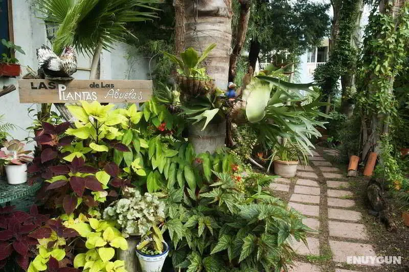 Adjovimar Apartamentos - Genel