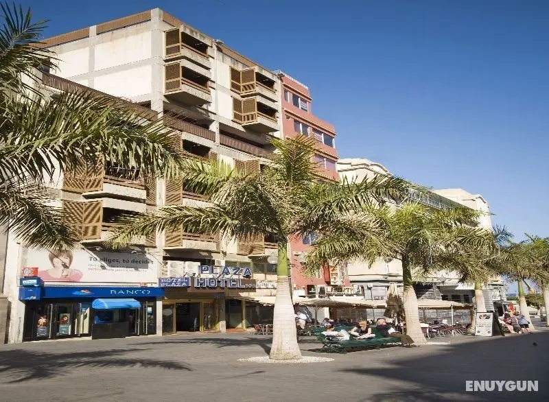 Adonis Plaza - Genel