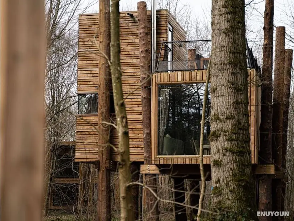 Adventure in Nature Tree Loft for 4 People 2 - Mülk Olanakları