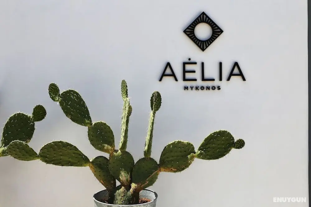 Aelia Mykonos - Öne Çıkan Resim