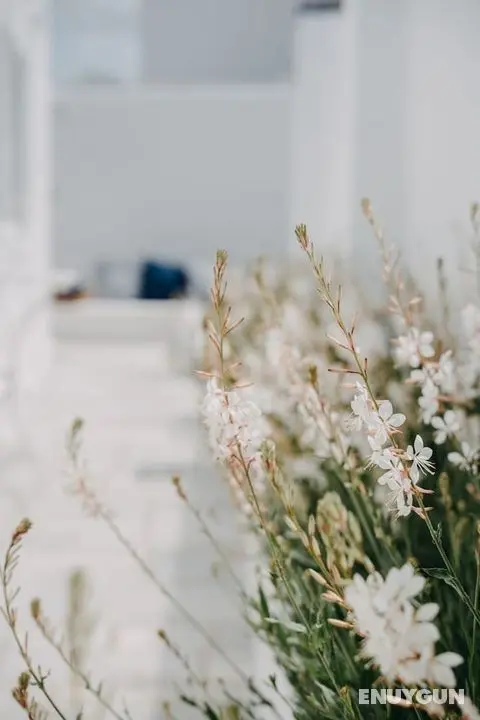 Aether Boutique Stay - Öne Çıkan Resim