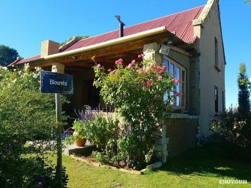 Affi Lande Boetiek Guest Farm - Öne Çıkan Resim