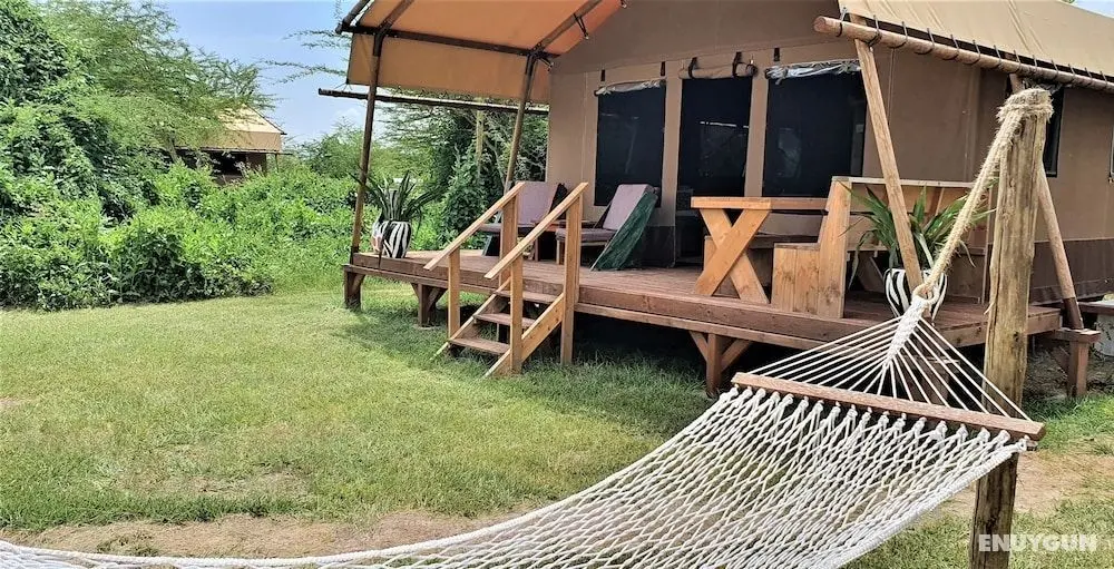 Africa Safari Lake Manyara - Öne Çıkan Resim