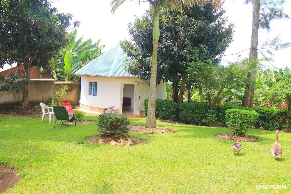 Afro Homestay - Öne Çıkan Resim