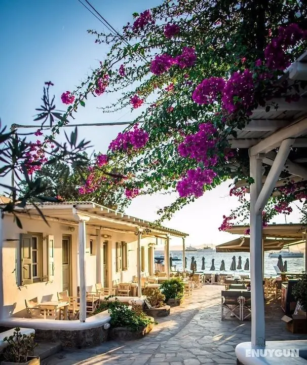 Agia Anna Studios - Öne Çıkan Resim