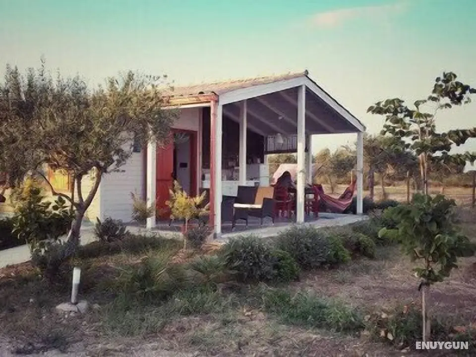 Agricampeggio Maccari - Oda Düzeni