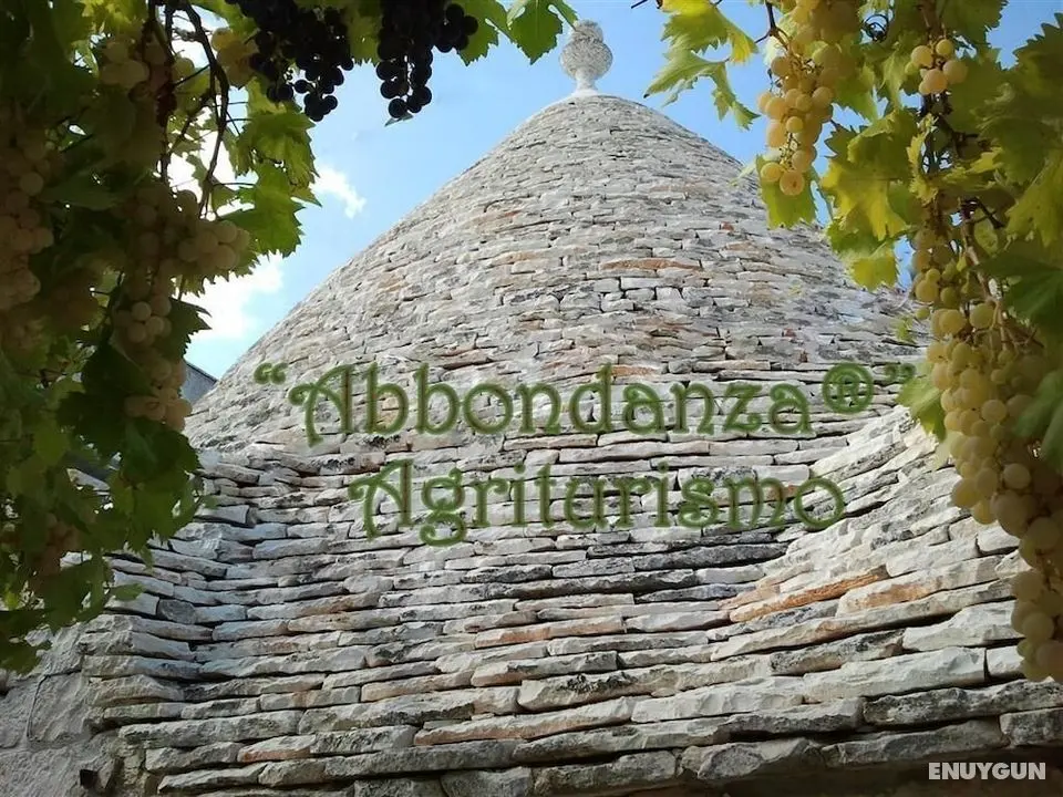 Agriturismo Abbondanza - Dış Mekan
