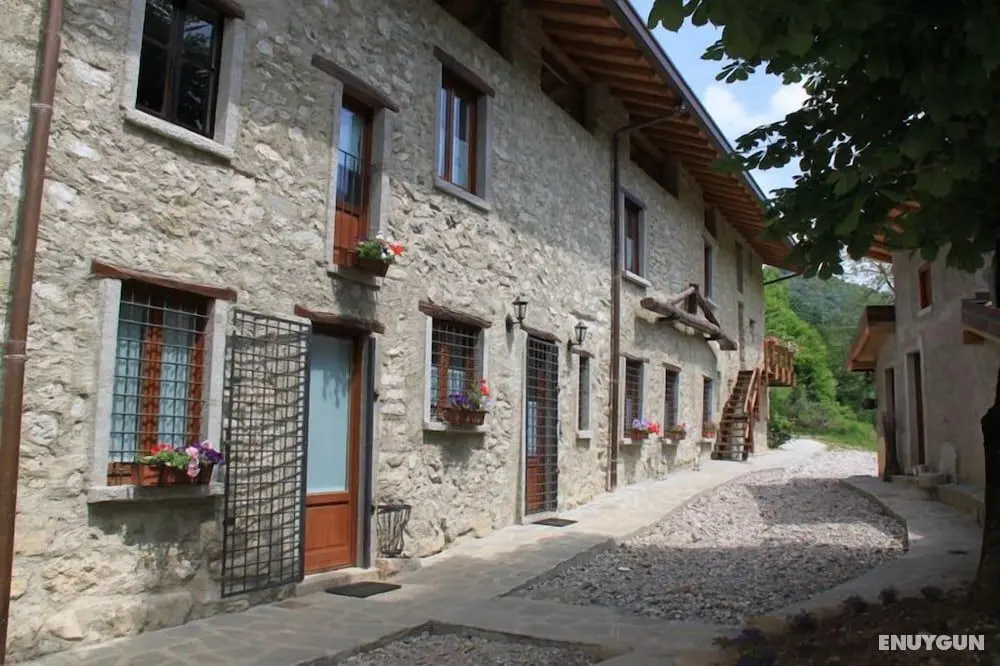 Agriturismo ai Grassi e Lunghi - Dış Mekan
