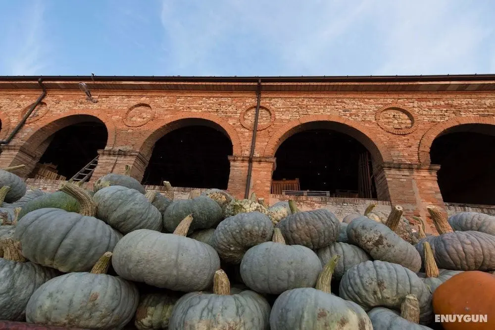 Agriturismo Arte Contadina - Öne Çıkan Resim
