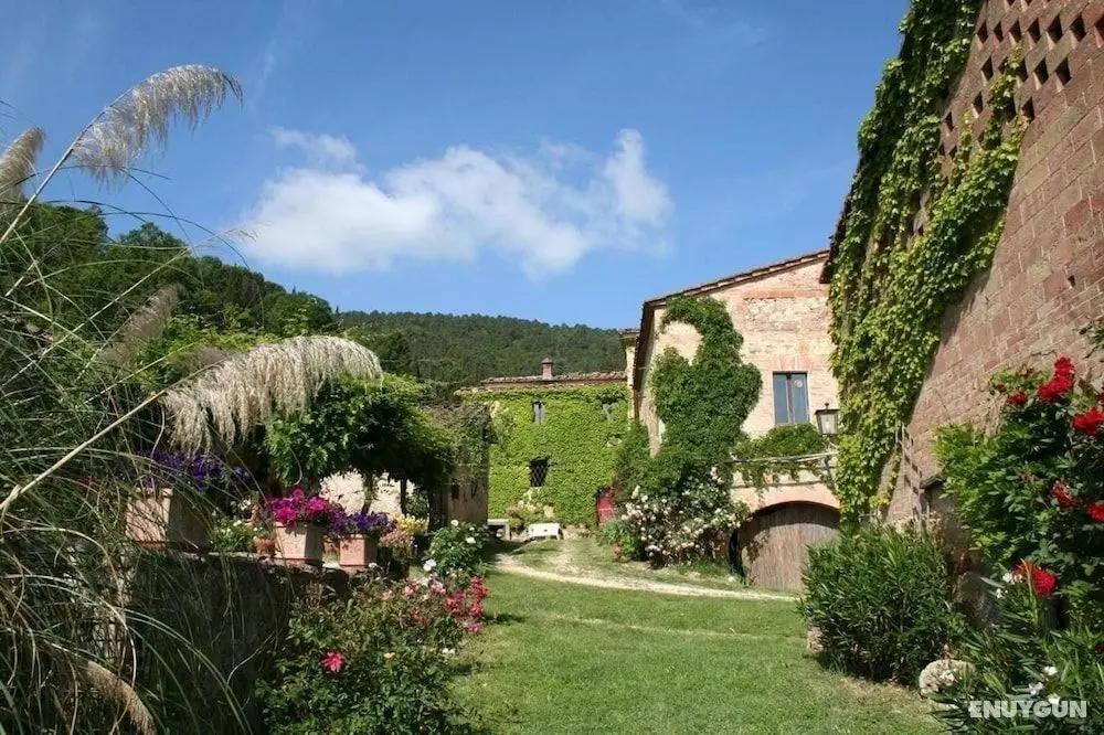 Agriturismo B&B IL Colombaio di Barbara - Öne Çıkan Resim