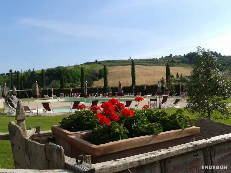 Agriturismo Cafaggio - Dış Mekan