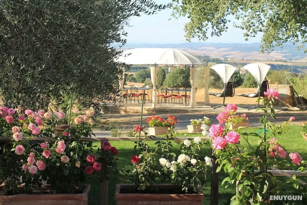 Agriturismo Cantagalli - Dış Mekanlar