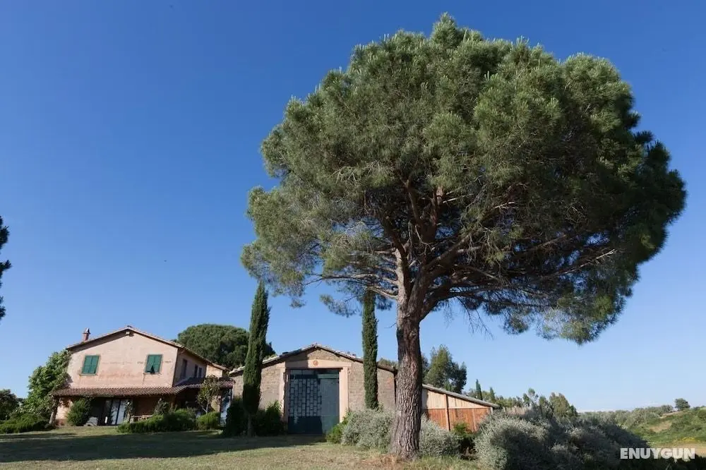 Agriturismo Casa Caponetti - Dış Mekan