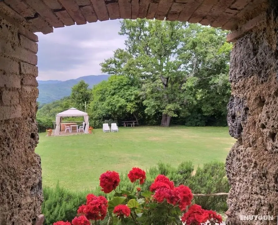 Agriturismo Colli di Travale - Dış Mekan
