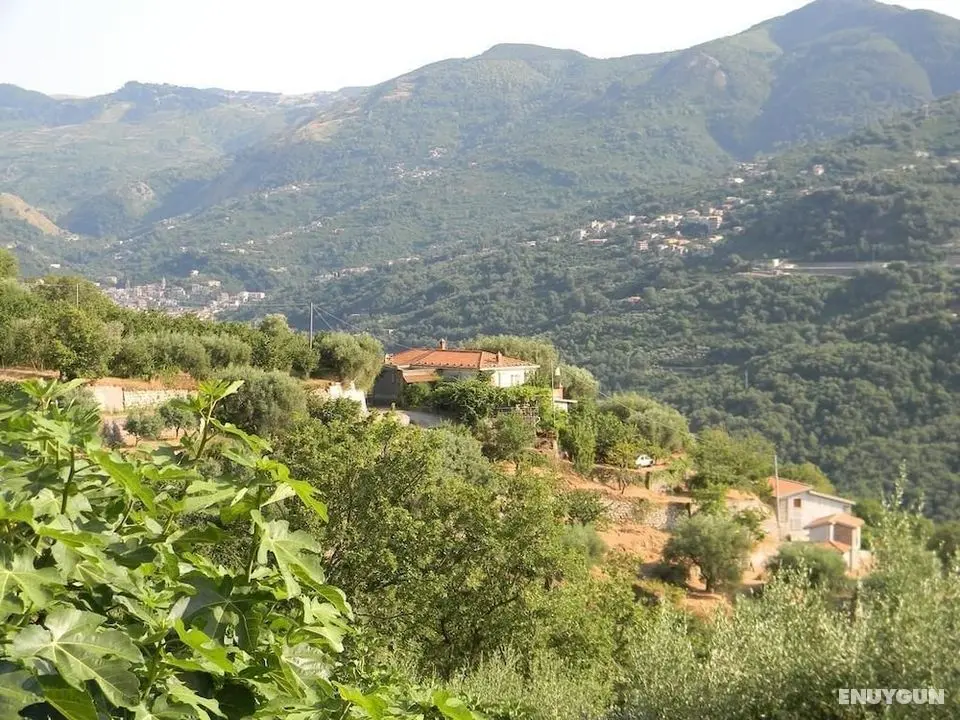 Agriturismo Don Cesarino - Öne Çıkan Resim