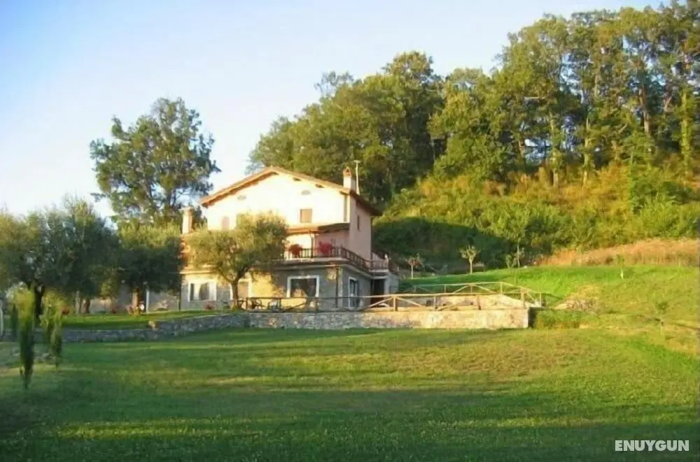 Agriturismo Fiore - Dış Mekan