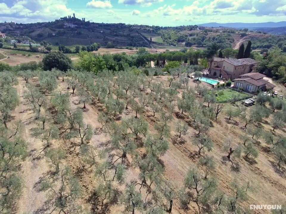 Agriturismo I Pini - Dış Mekan