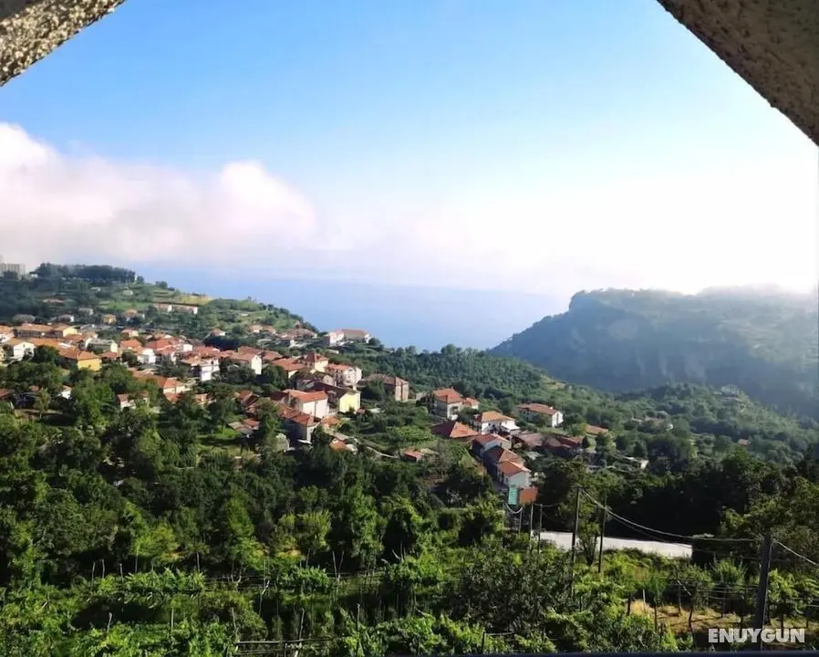 Agriturismo Il Castagno - Dış Mekan