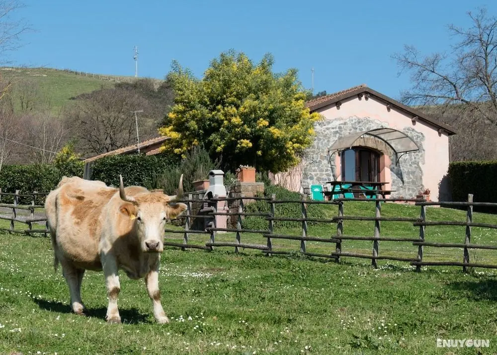 Agriturismo Il Castoro - Öne Çıkan Resim