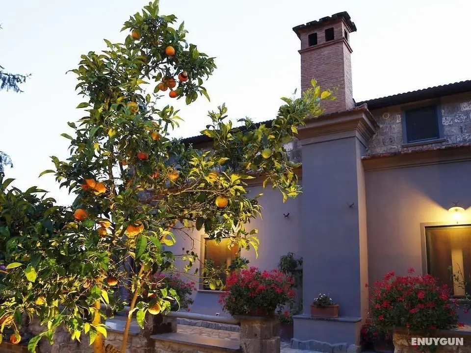 Agriturismo Il Convento - Öne Çıkan Resim