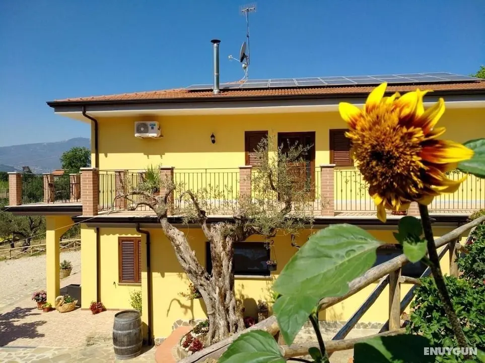Agriturismo Il Marchese - Dış Mekan