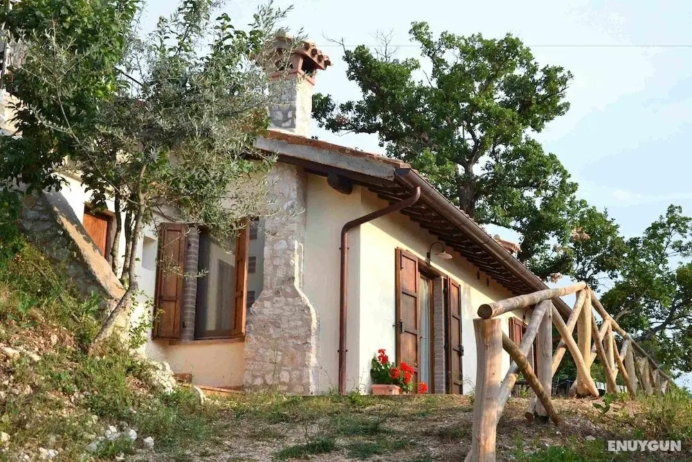 Agriturismo Istrice Innamorato - Öne Çıkan Resim