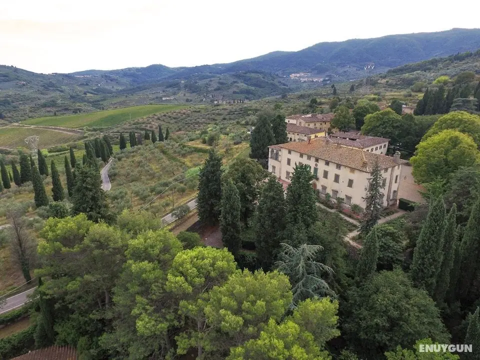 Agriturismo La Fattoria di Capezzana - Dış Mekan