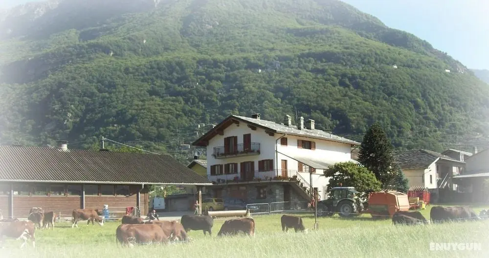 Agriturismo La Grange - Dış Mekanlar