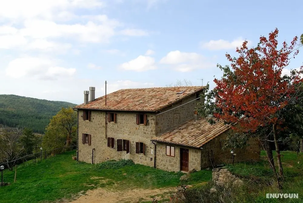 - Agriturismo La Piaggia - Forest View Apartment on the Ground Floor 2 Guests - Öne Çıkan Resim