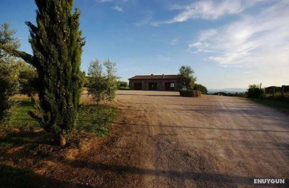 Agriturismo La Poderina e Gli Olmi - Dış Mekan