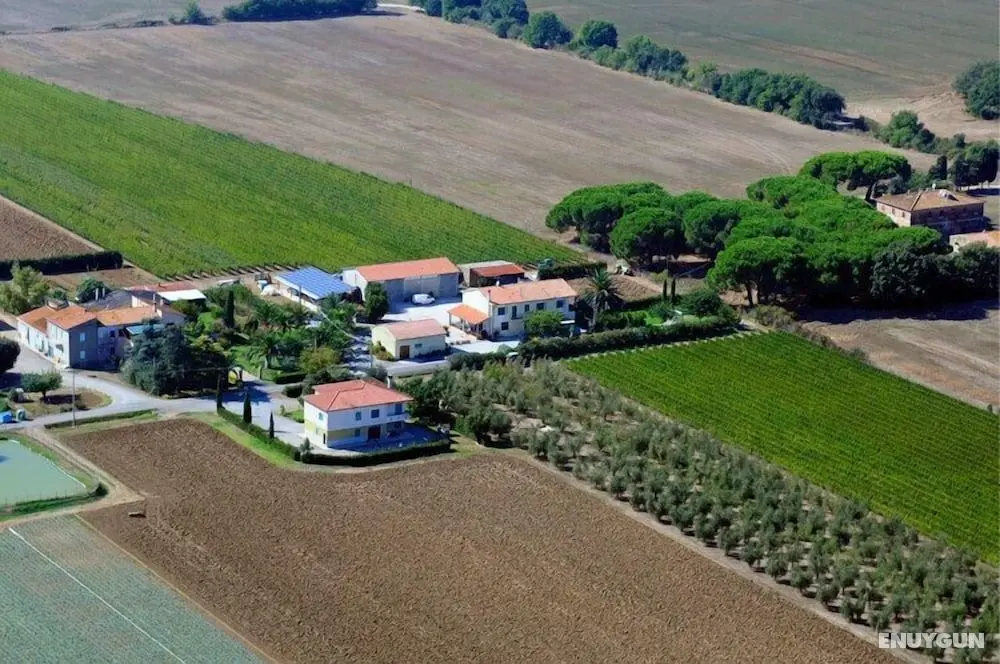 Agriturismo La Rondine - Öne Çıkan Resim