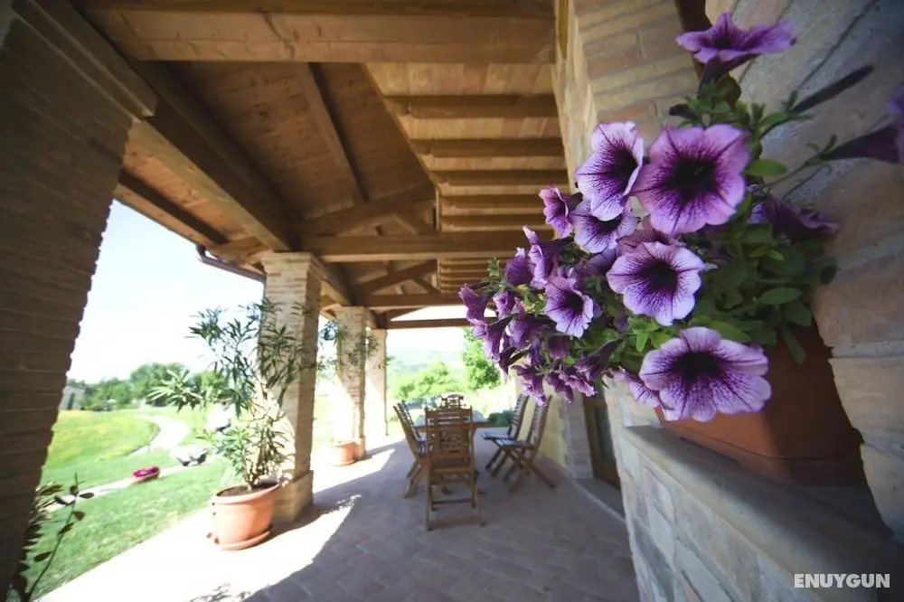 Agriturismo La Spiga d'Oro - Dış Mekanlar