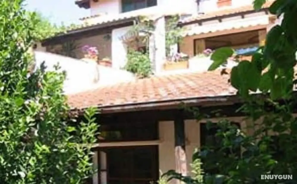 Agriturismo La Vecchia - Dış Mekan