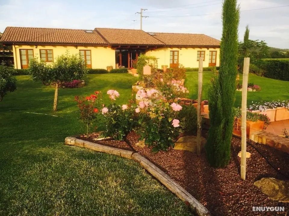 Agriturismo Le Rondinelle - Dış Mekan