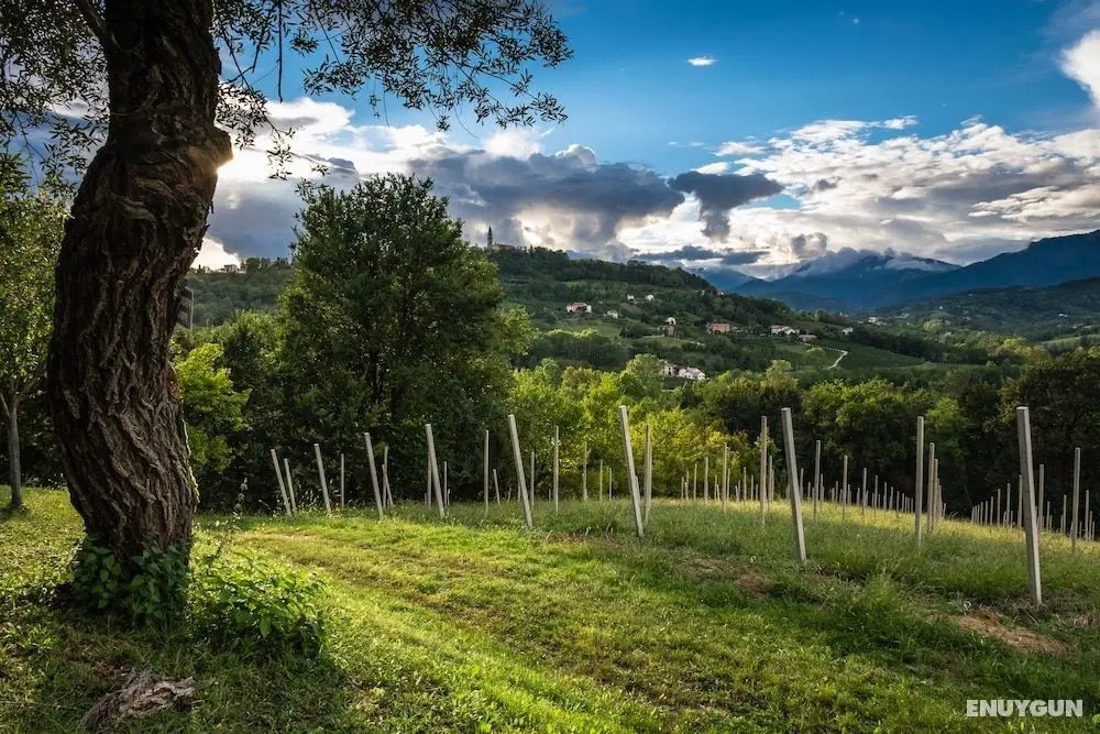 Agriturismo Le Spezie - Dış Mekan