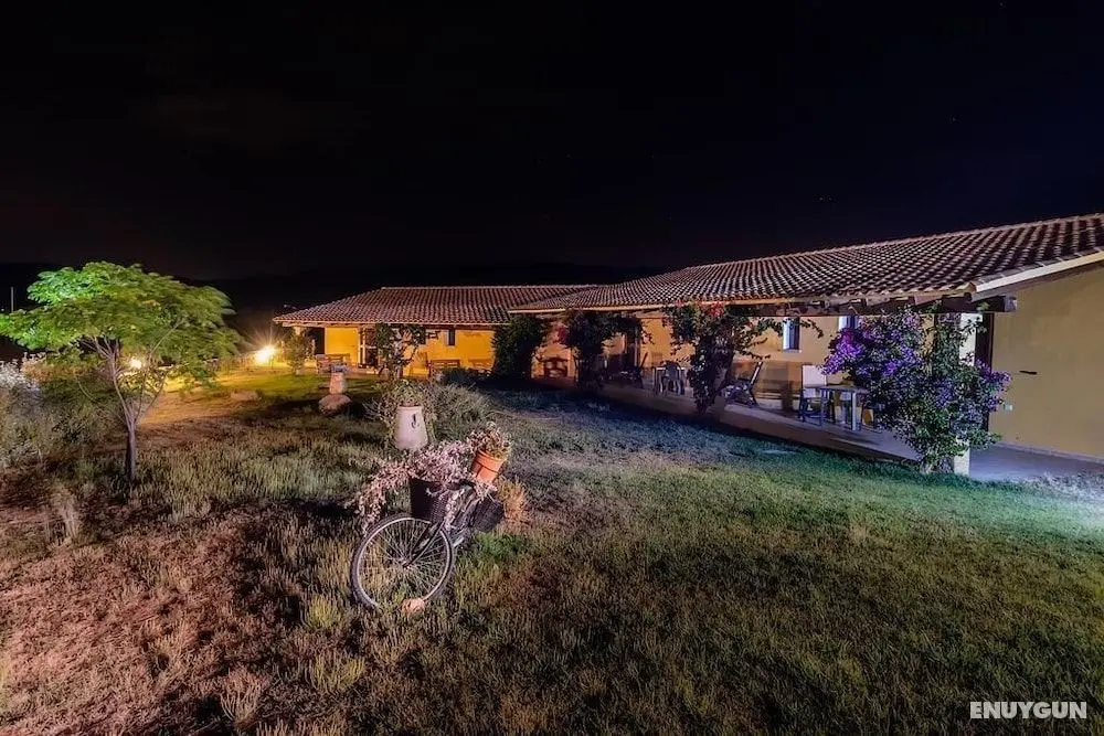 Agriturismo Lu Nodu - Öne Çıkan Resim