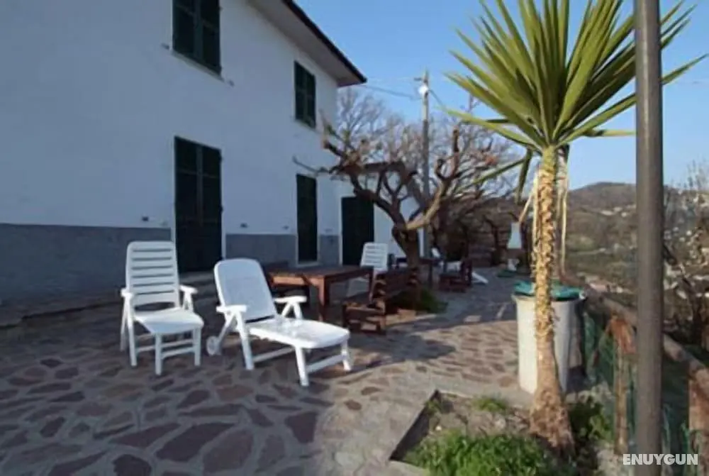 Agriturismo l'Ulivo e il Mare - Öne Çıkan Resim