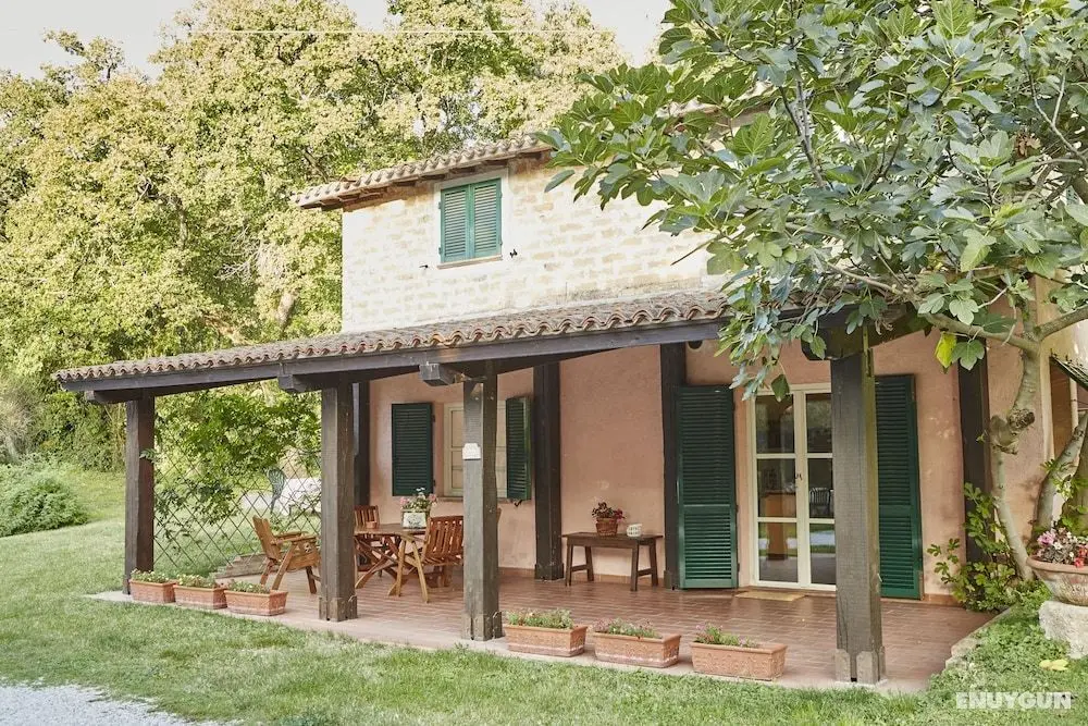 Agriturismo L'Ulivo - Öne Çıkan Resim