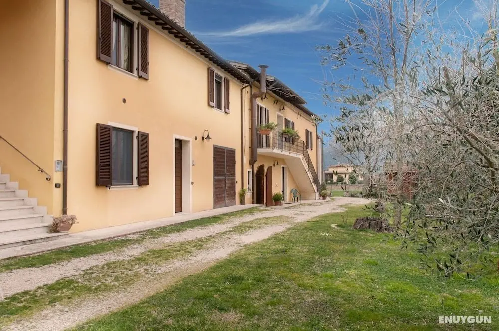 Agriturismo Lustrinu - Dış Mekan