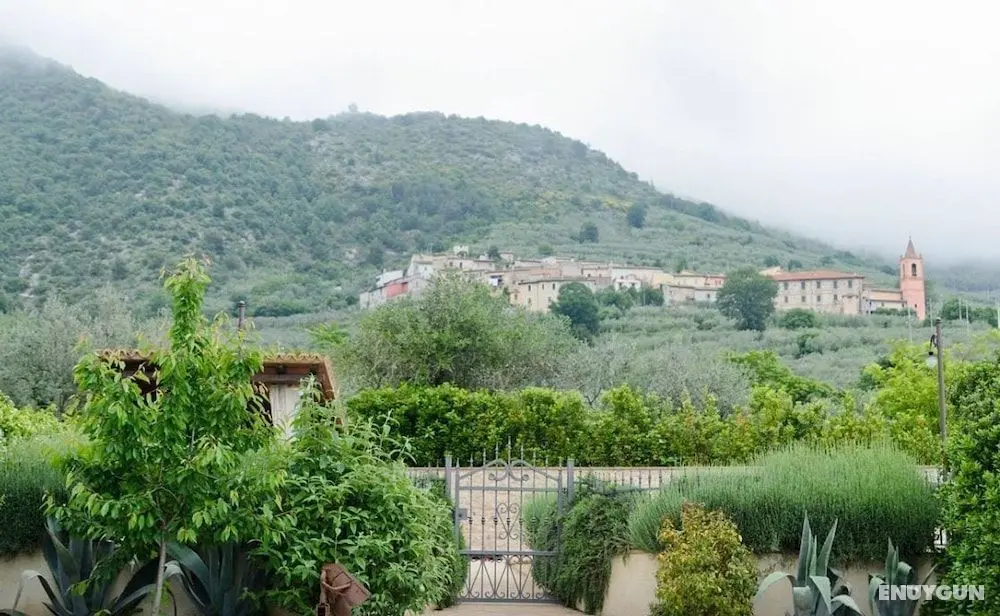 Agriturismo Monte Cologna - Öne Çıkan Resim