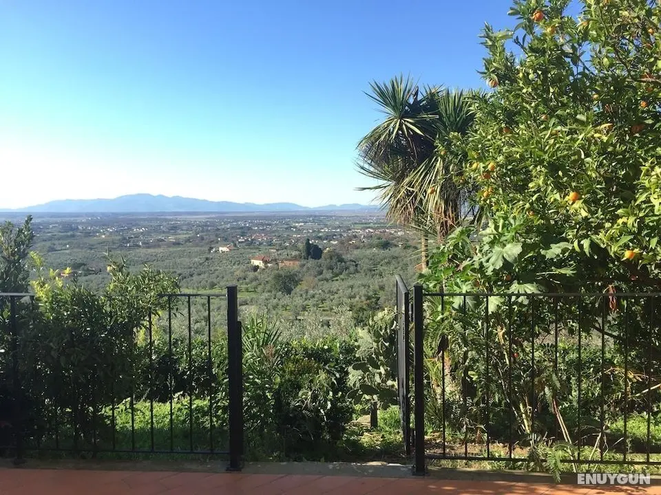 Agriturismo Podere Rondinaio - Öne Çıkan Resim